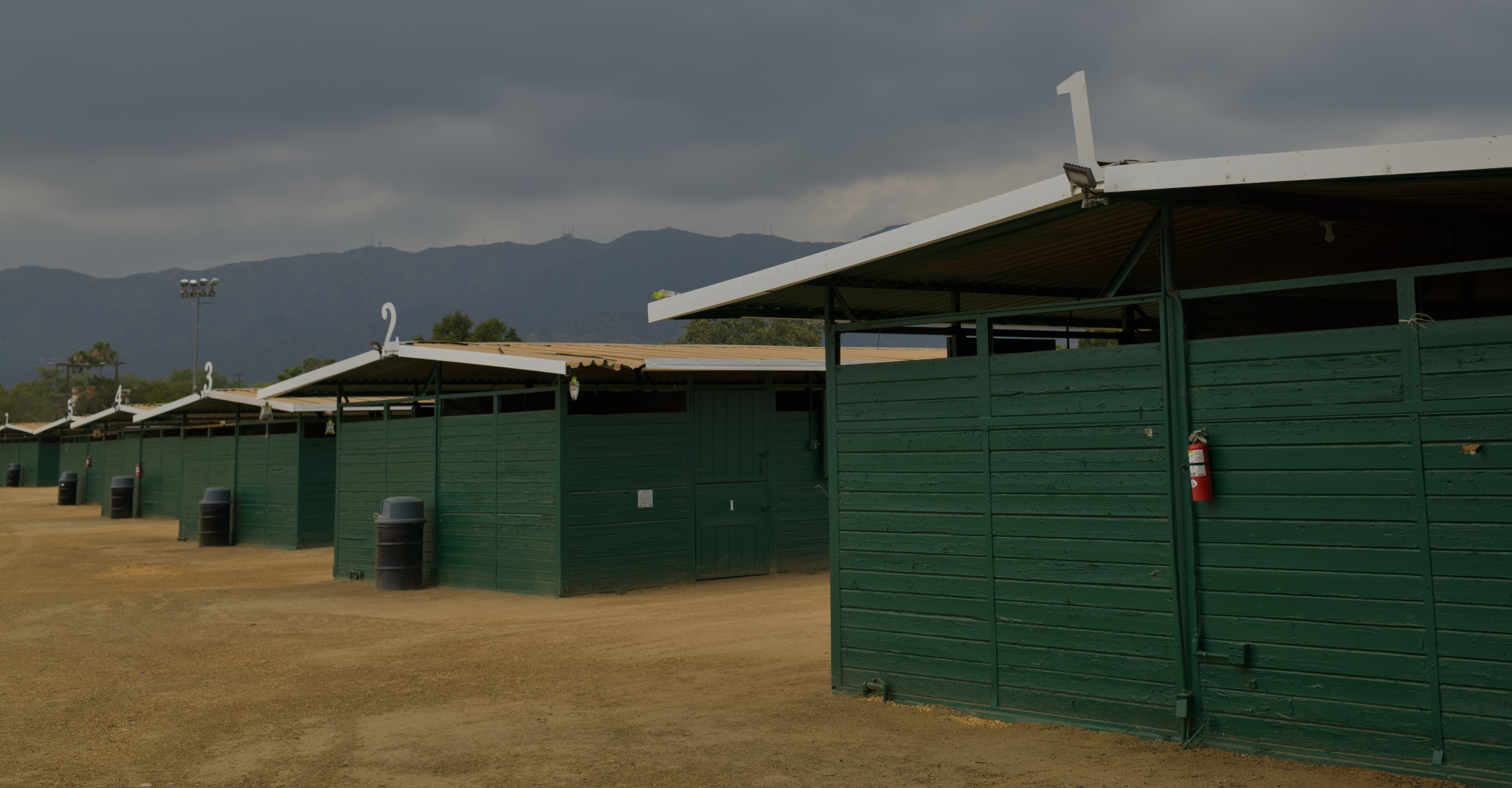 Equestrian Center Walk