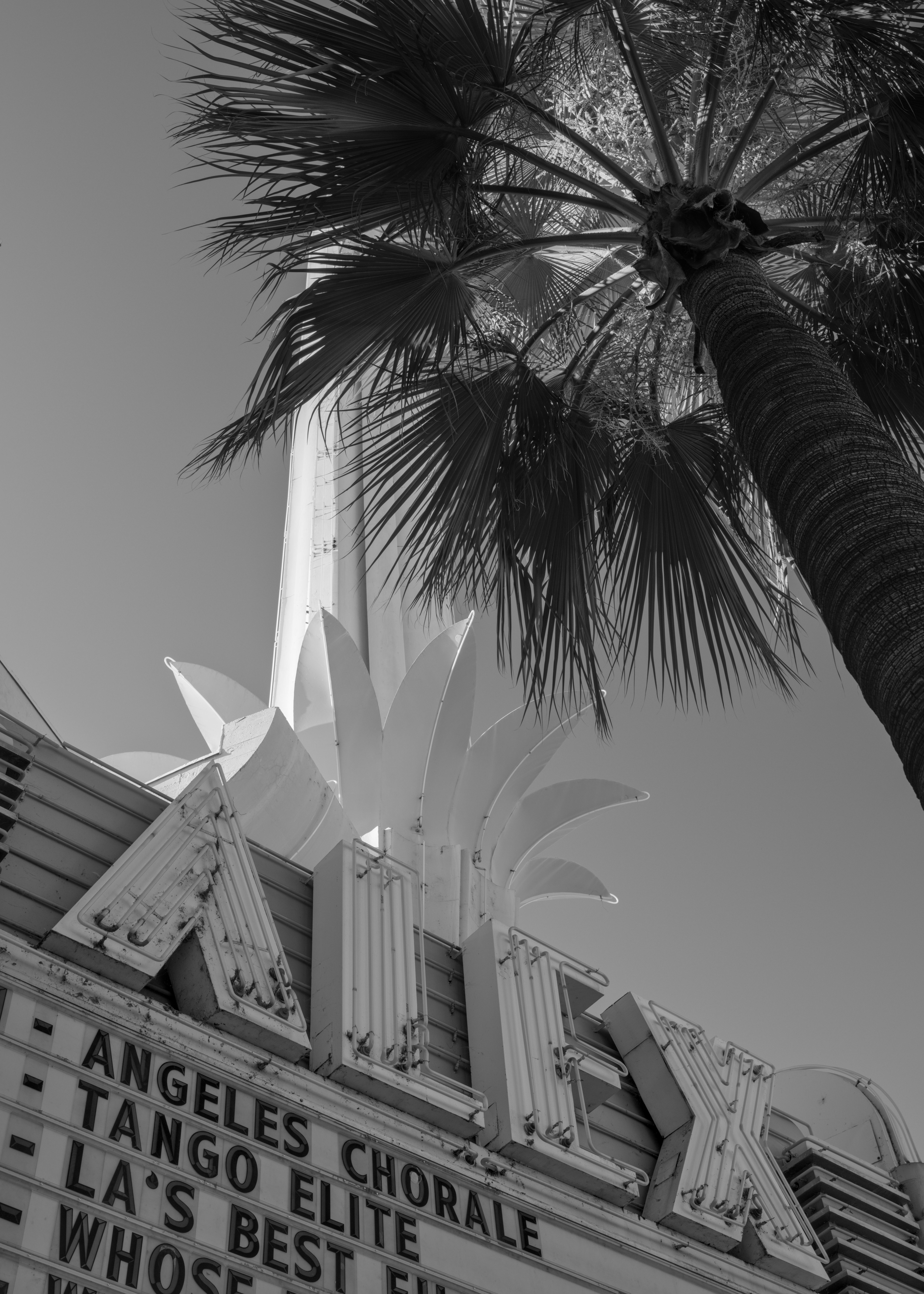 L.A. Noir cover